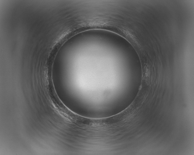 X0000051910684200507011534