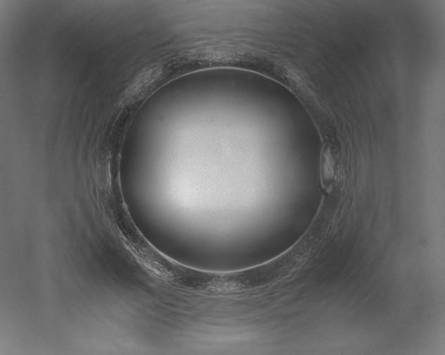 X0000051910685200507011534