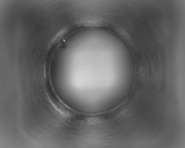 X0000051910686200507011534