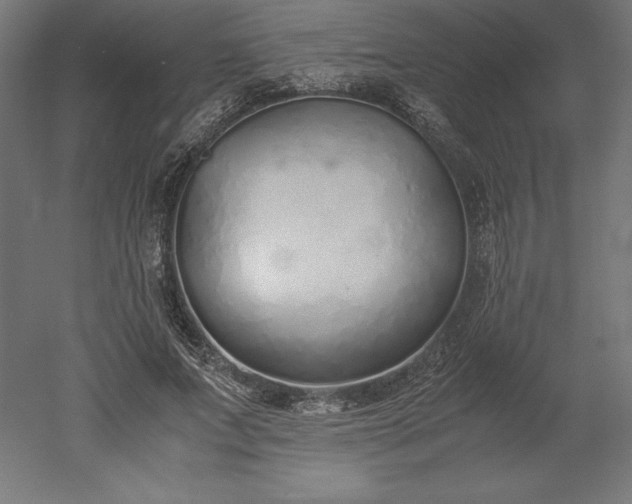 X0000051910687200507011534