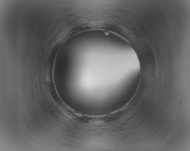 X0000051910689200507011534