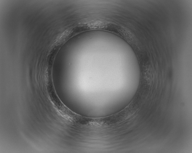 X0000051910690200507011534