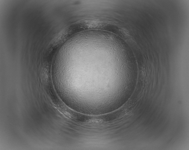 X0000051910691200507011534