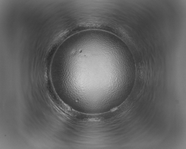 X0000051910692200507011534