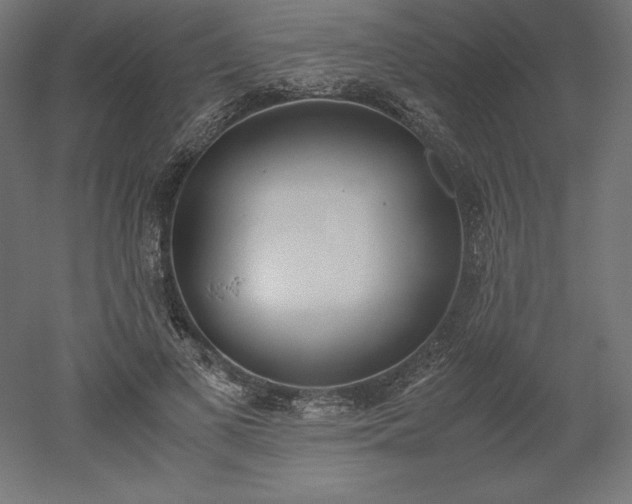 X0000051910693200507011534