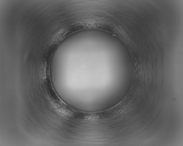 X0000051910694200507011534