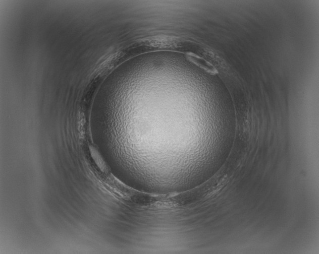 X0000051910696200507011534