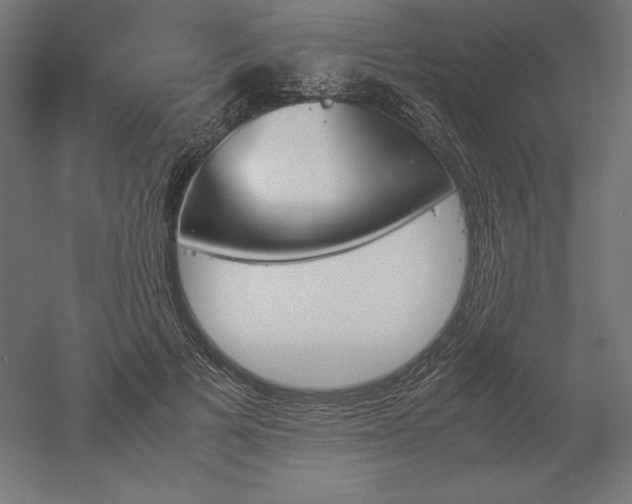 X0000051910697200507011534