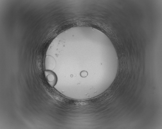 X0000051910698200507011534