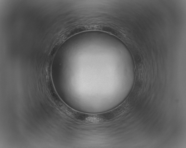 X0000051910699200507011534