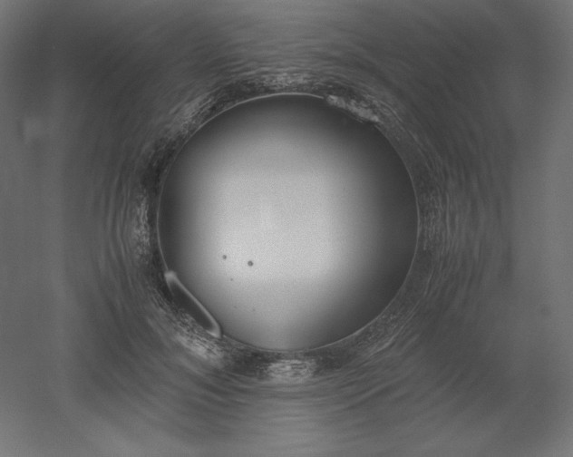 X0000051910700200507011534