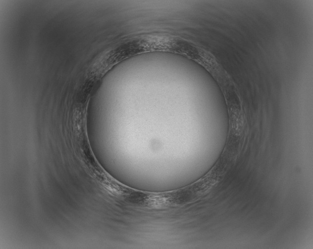 X0000051910701200507011534