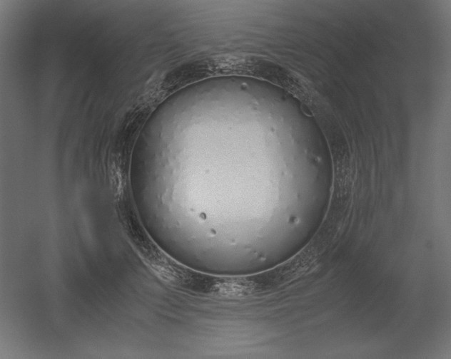 X0000051910703200507011534