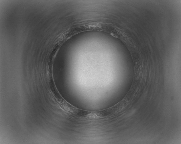 X0000051910704200507011534