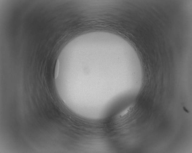 X0000051910705200507011534