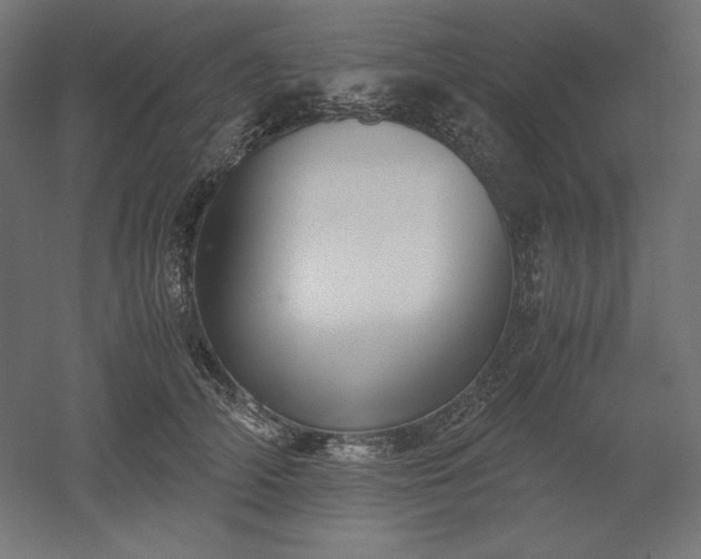 X0000051910706200507011534