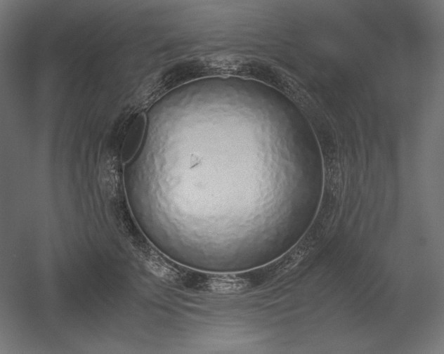 X0000051910707200507011534