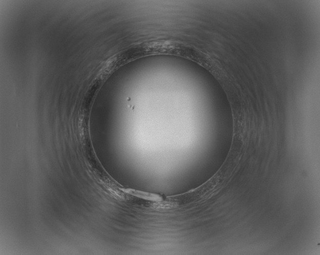 X0000051910708200507011534