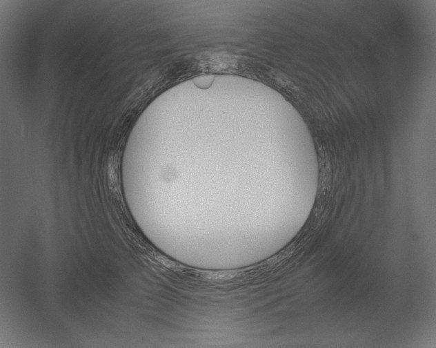 X0000051910709200507011534