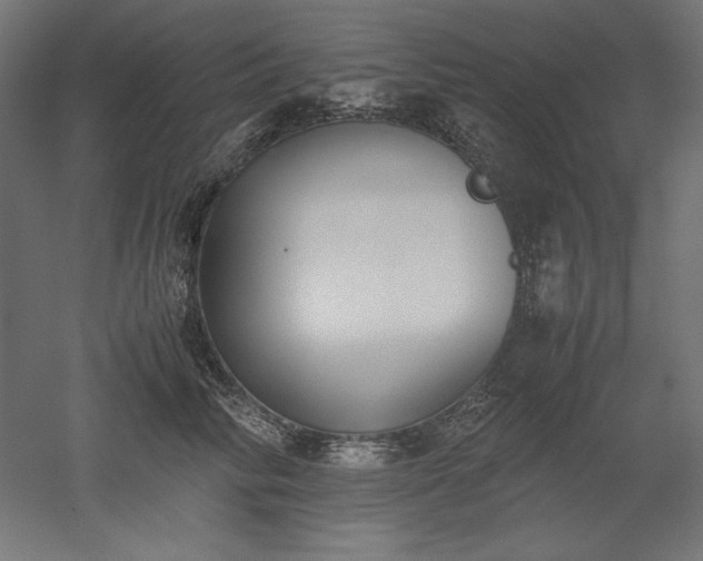 X0000051910710200507011534