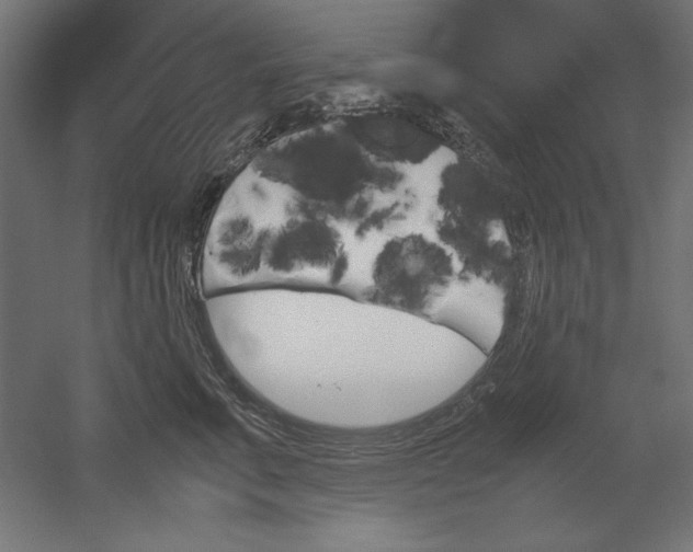 X0000051910711200507011534