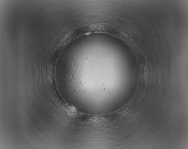 X0000051910712200507011533