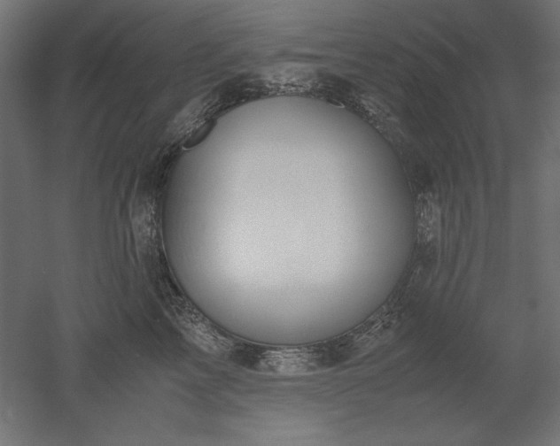 X0000051910713200507011533