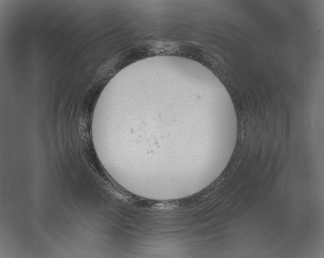 X0000051910714200507011533