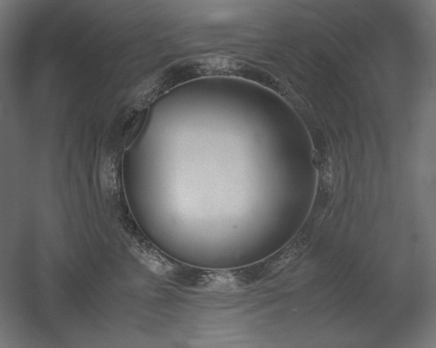 X0000051910715200507011533