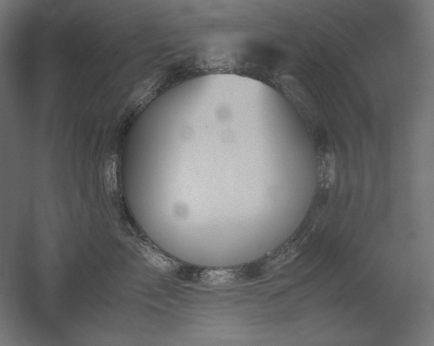 X0000051910717200507011533