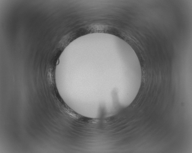 X0000051910718200507011533