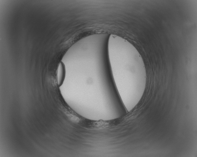 X0000051910719200507011533