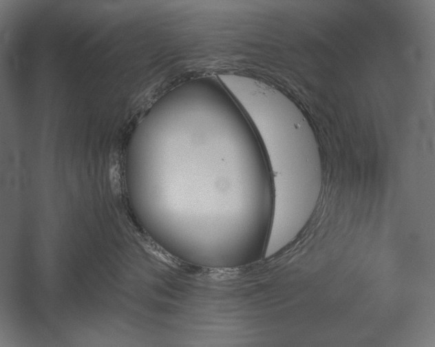 X0000051910720200507011533