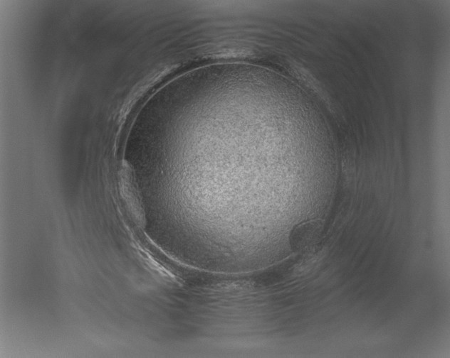 X0000051910721200507011533