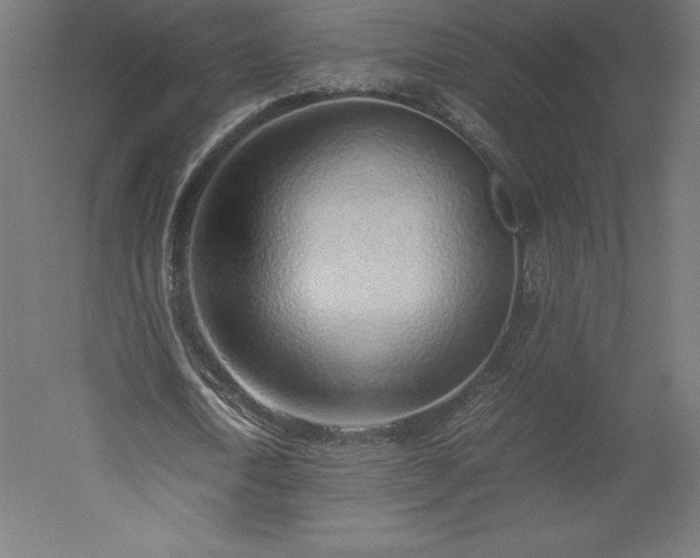 X0000051910722200507011533