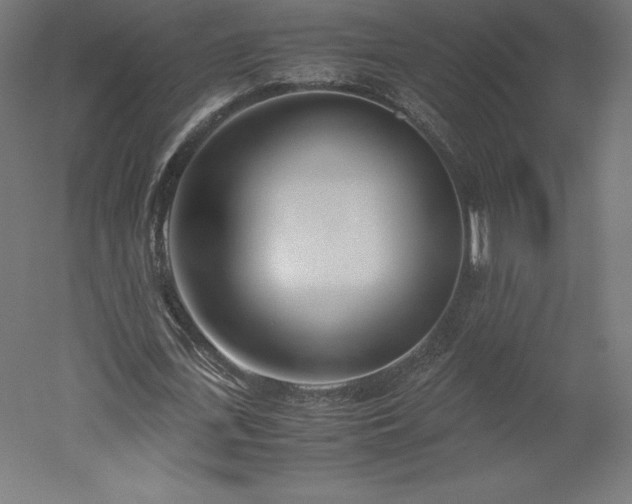 X0000051910723200507011533