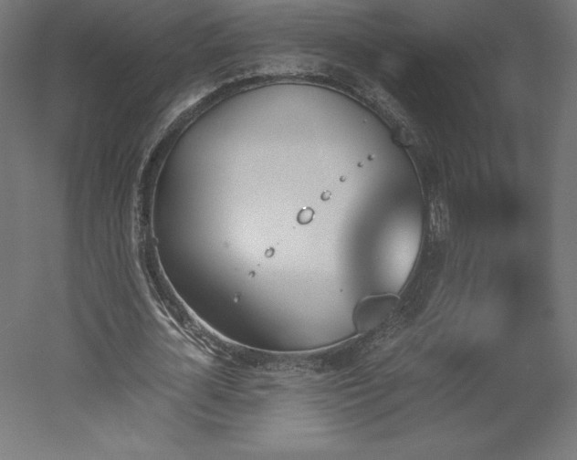 X0000051910724200507011533