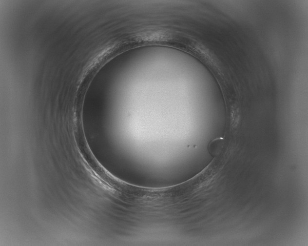 X0000051910725200507011533