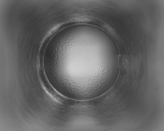 X0000051910726200507011533