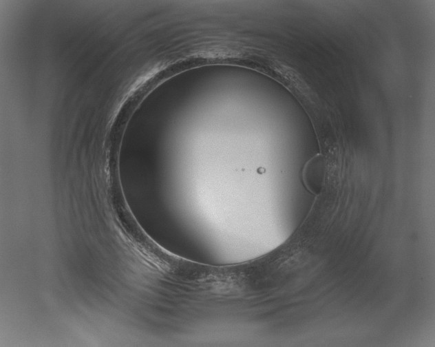 X0000051910727200507011533