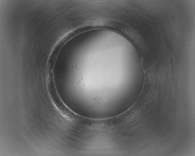 X0000051910728200507011533