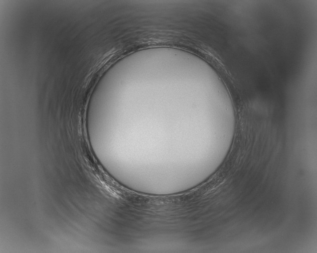 X0000051910729200507011533