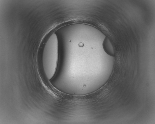 X0000051910730200507011533