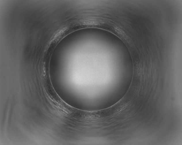 X0000051910731200507011533