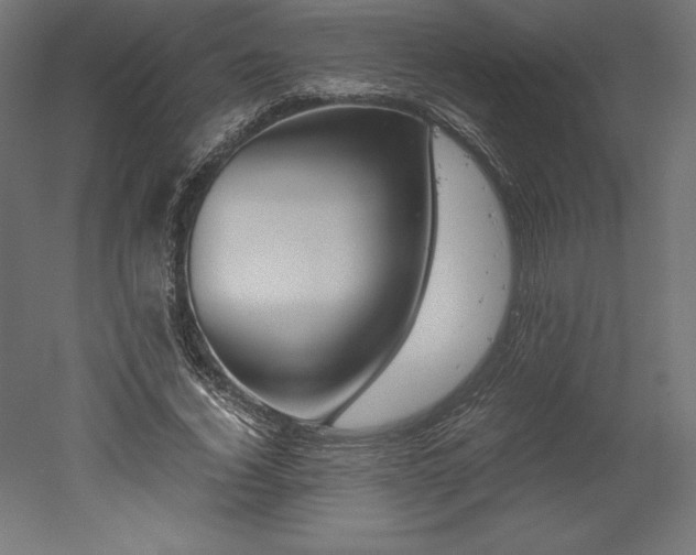 X0000051910732200507011533