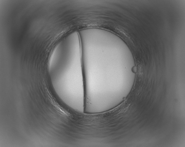 X0000051910733200507011533