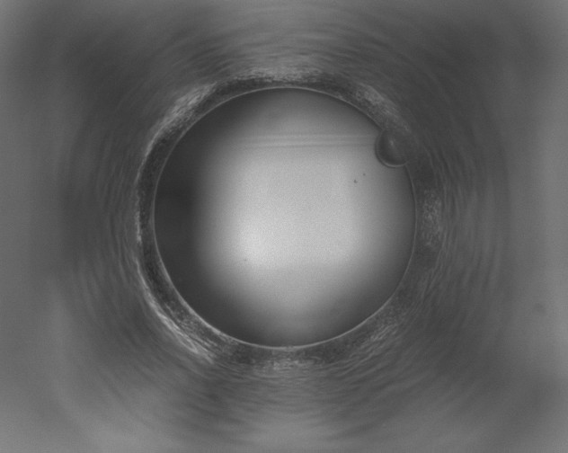 X0000051910734200507011533