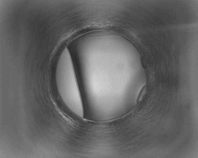 X0000051910736200507011533