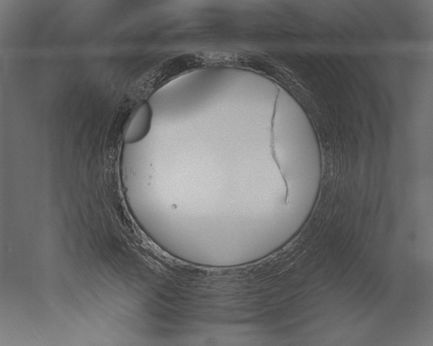 X0000051910737200507011533