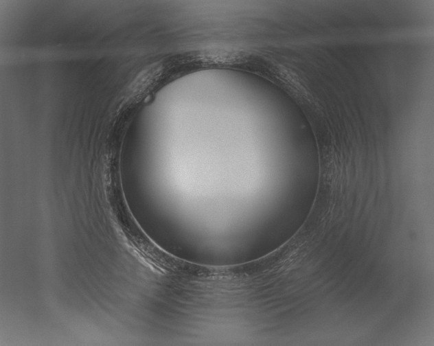 X0000051910738200507011533